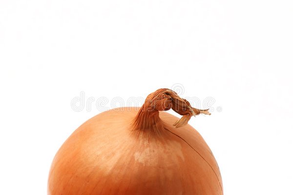 Ссылка кракен тор onion top